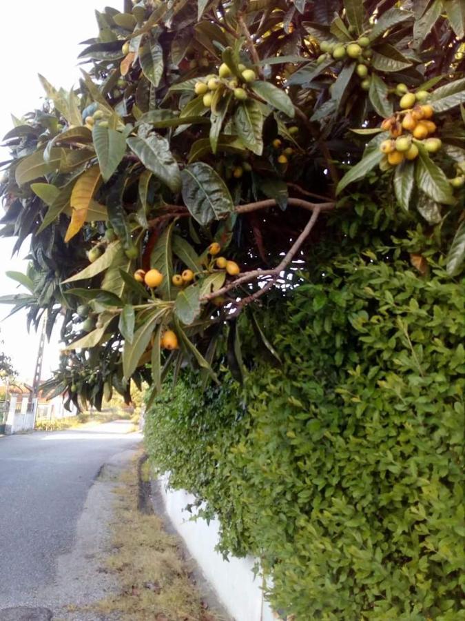Casa Da Nespereira- Lugar Acolhedor Rodeado De Natureza Soure Экстерьер фото